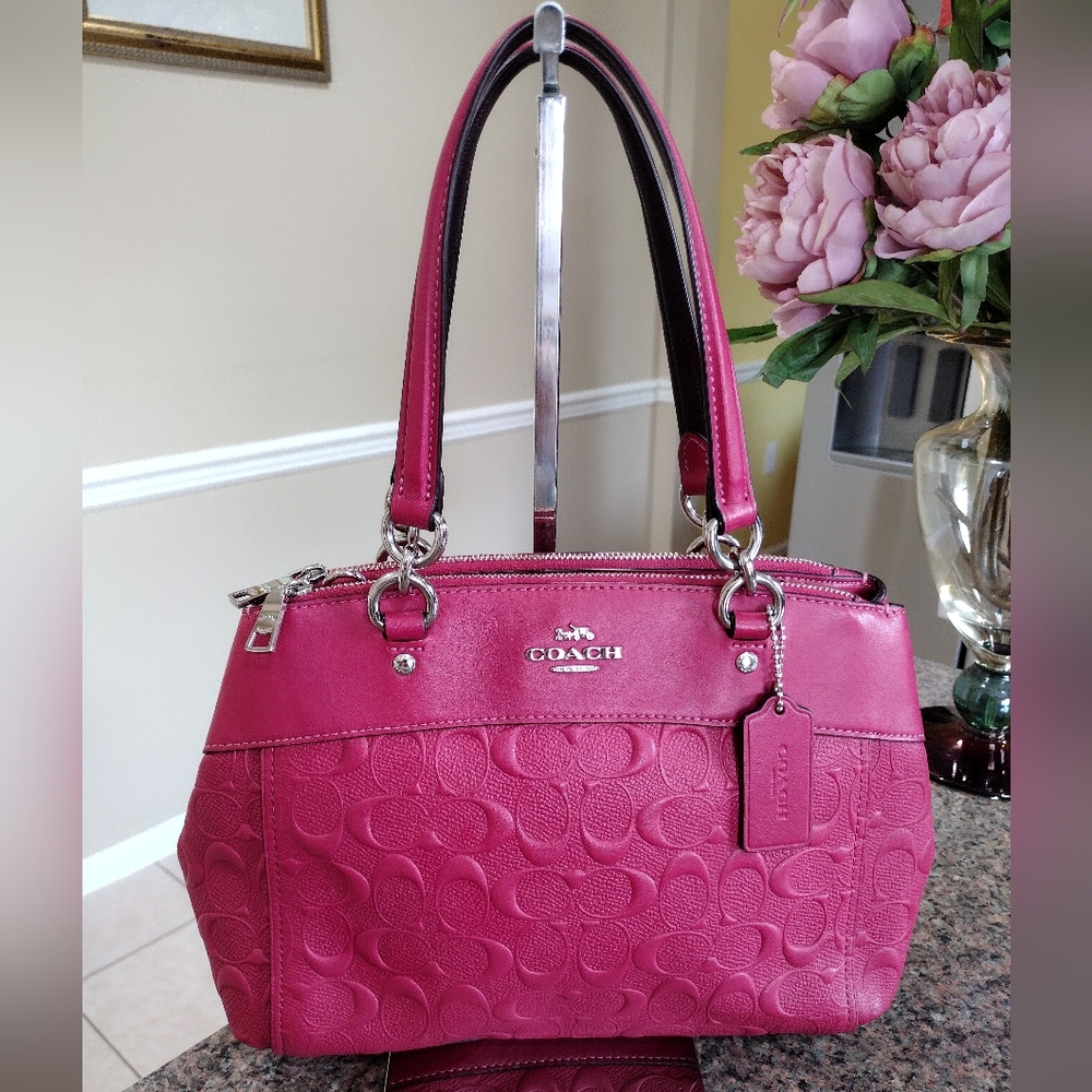 Coach Mini Brooke Carryall In Signature Leather